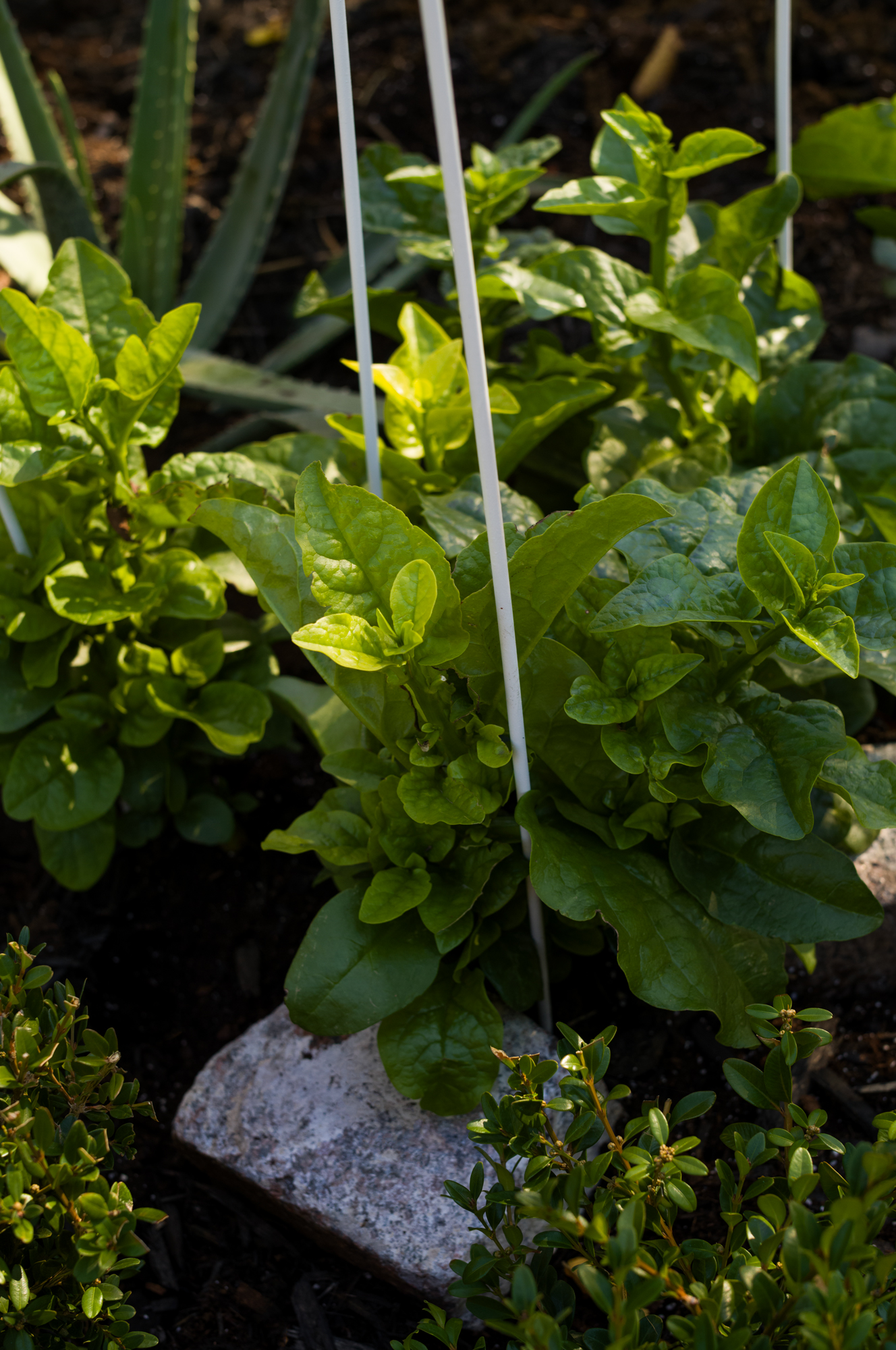 La couleur du ciel est relative 08