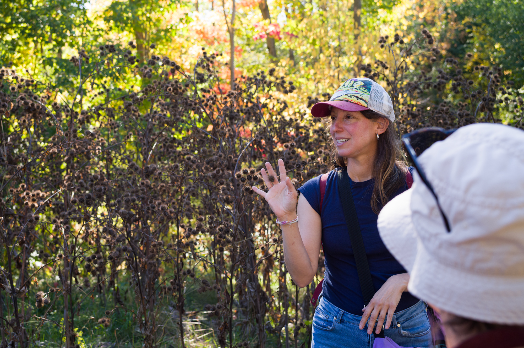 La couleur du ciel est relative 12