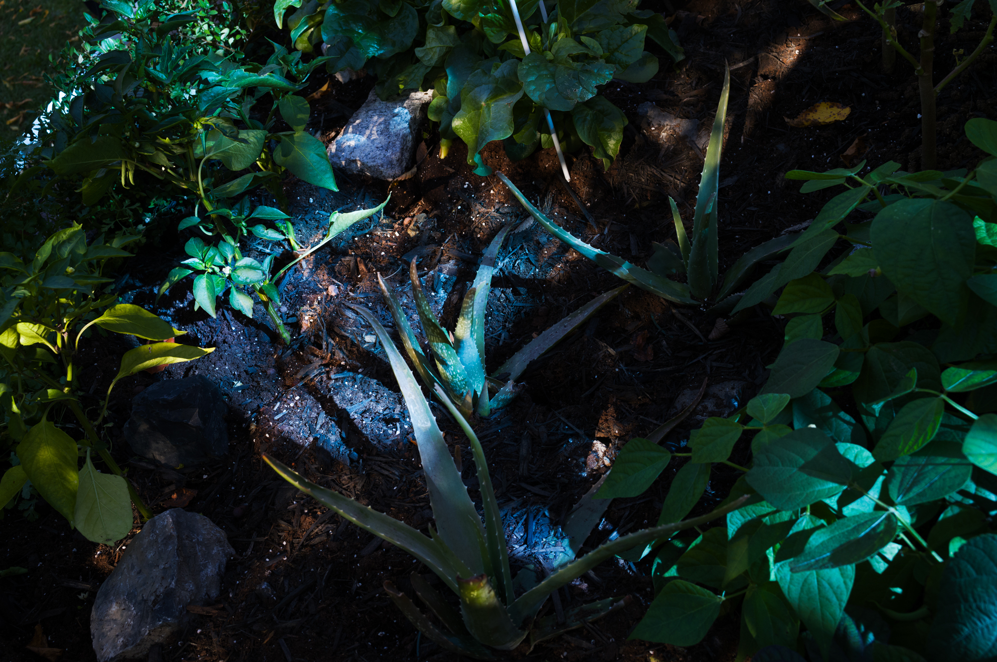 La couleur du ciel est relative 02