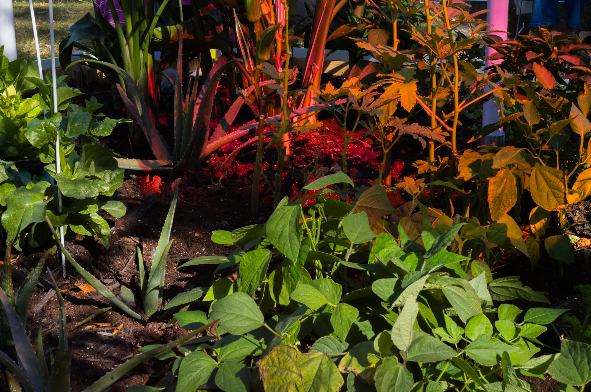 La couleur du ciel est relative 15