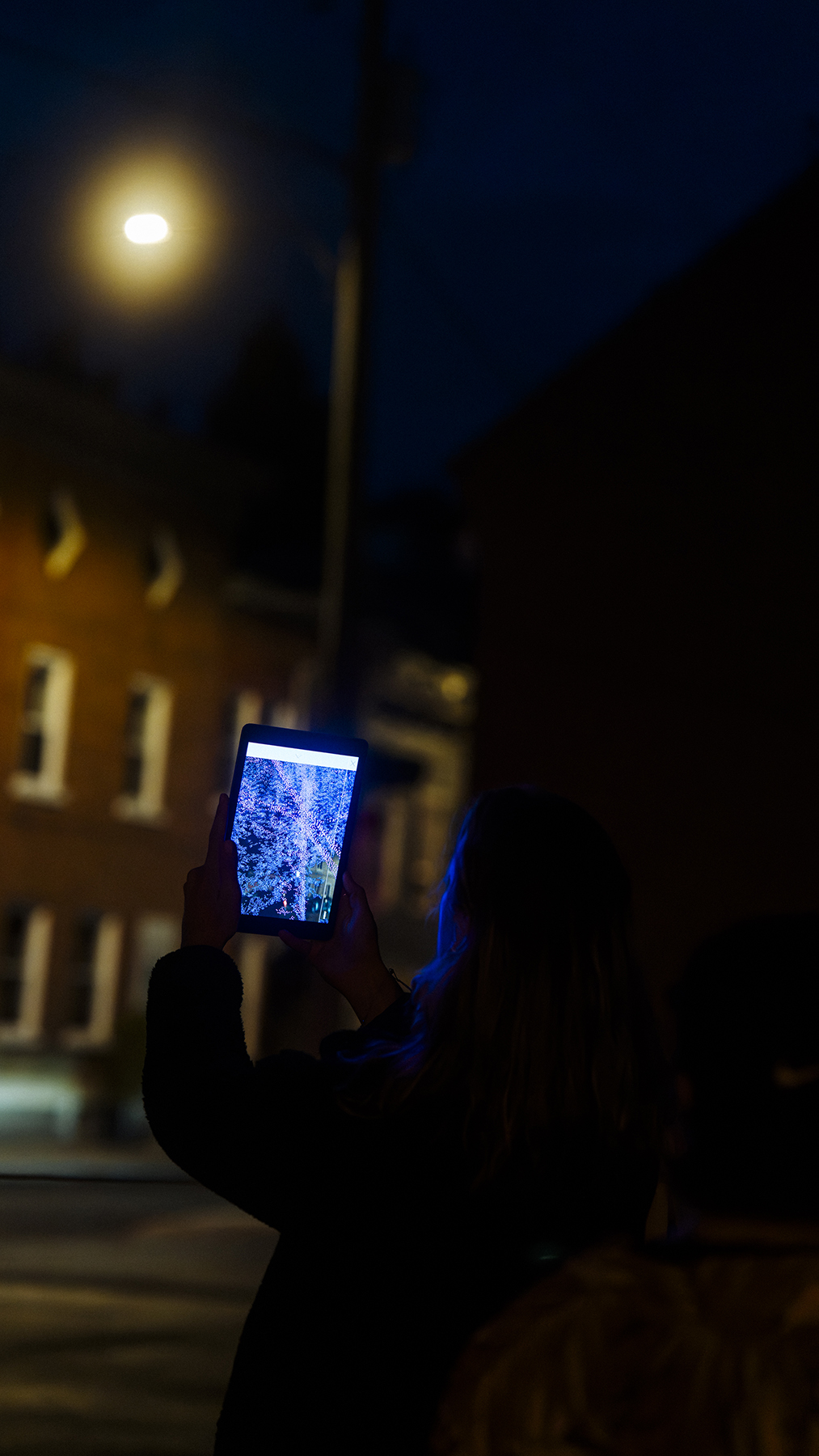 clitandre-canopee-thumbmail