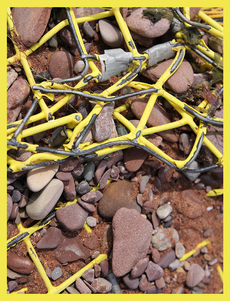 clitandre-littoral-2020-detail-01-LOW
