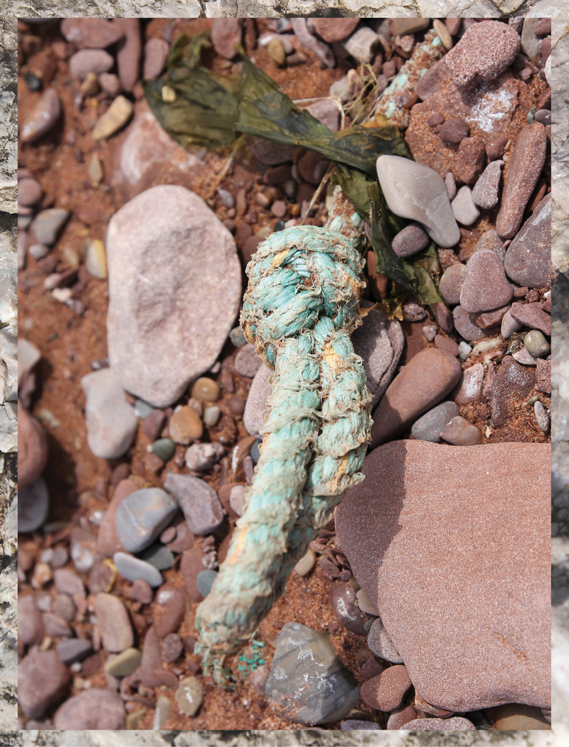 clitandre-littoral-2020-detail-04-LOW