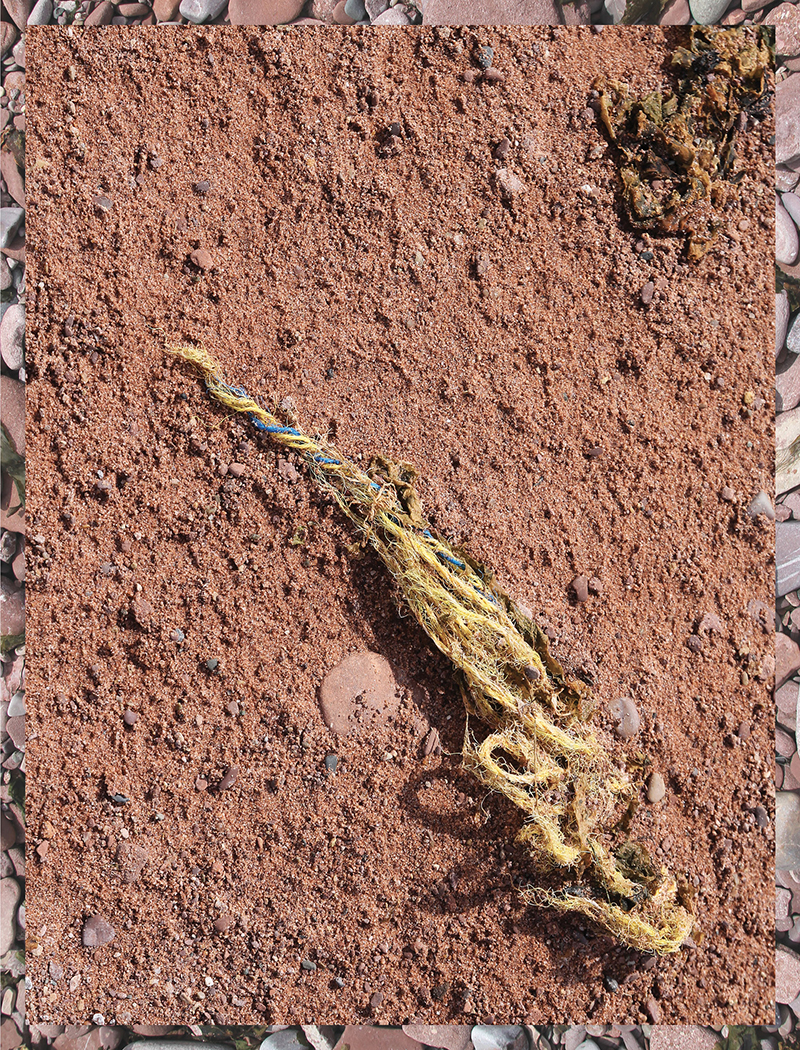 clitandre-littoral-2020-detail-06-LOW
